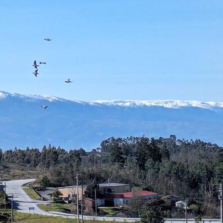 Casas Da Fraga - Serra Da Estrela Форнуш-ди-Алгодриш Экстерьер фото