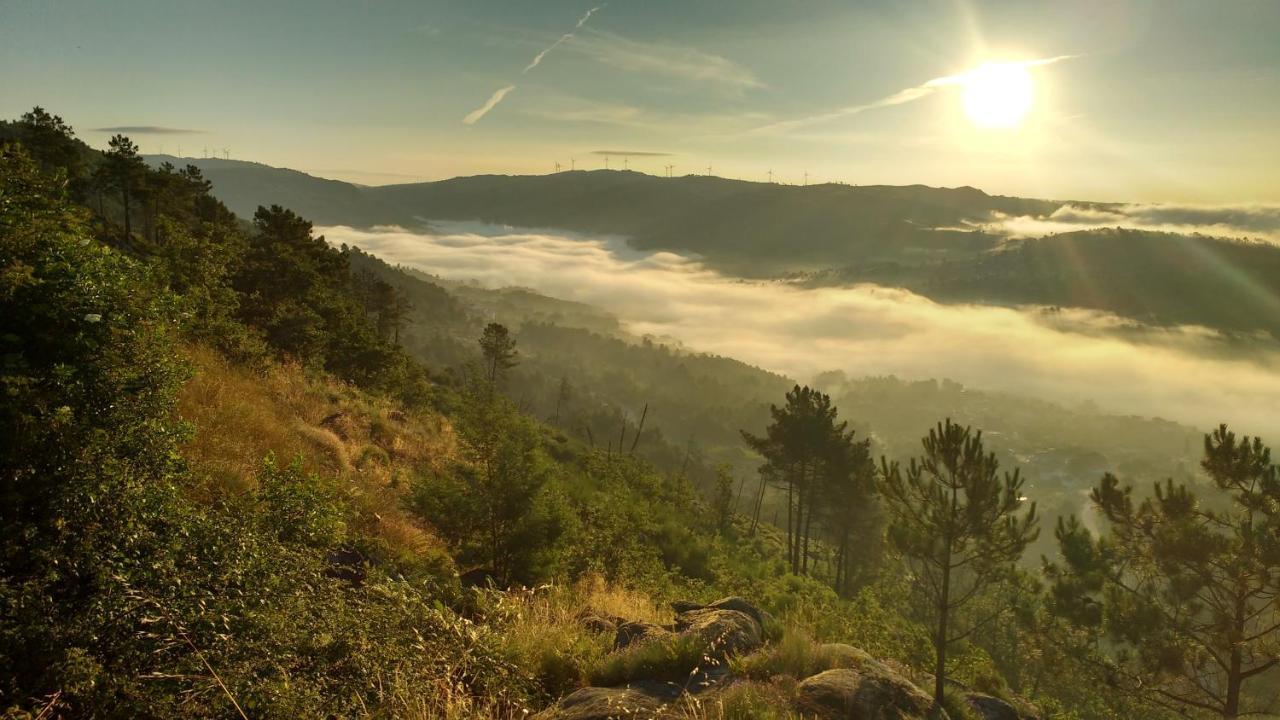 Casas Da Fraga - Serra Da Estrela Форнуш-ди-Алгодриш Экстерьер фото